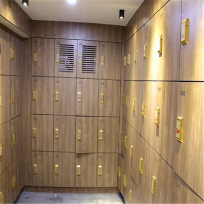 خزانة ملابس Hpl بلون خالص ، 1450kgs / M3 12mm Changing Room Locker